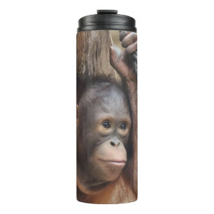 OrangUtan 002 Thermal Tumbler