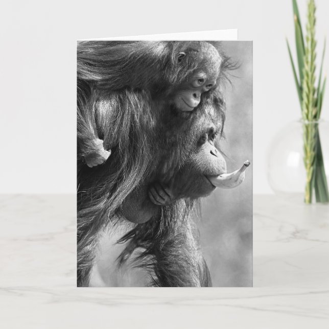 Orangutan#8-Greeting Card (Front)