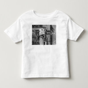 Orangutan and Boy in the National Zoo Photograph Toddler T-Shirt