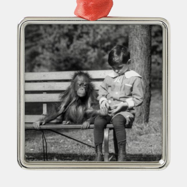 Orangutan and Boy - National Zoo Metal Ornament (Front)