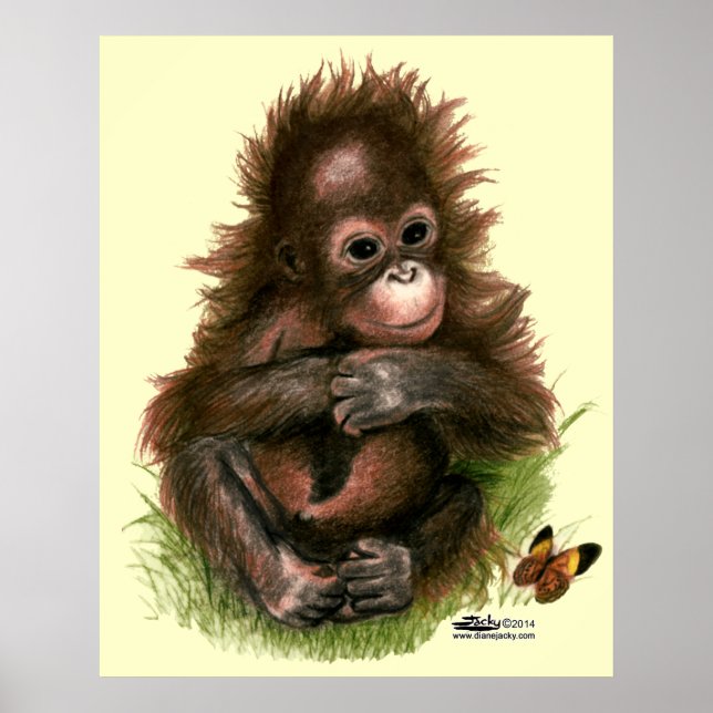 Orangutan Baby and Butterfly Poster (Front)