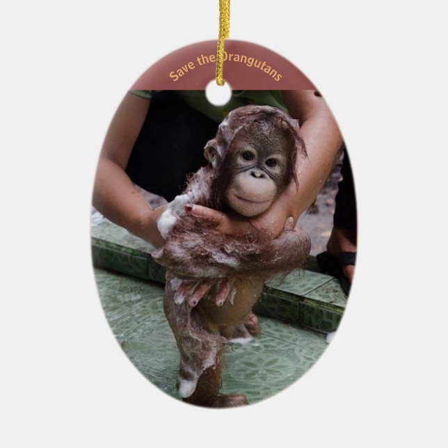 Orangutan Baby Ceramic Ornament (Front)
