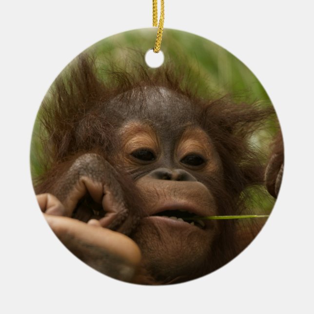 Orangutan Baby Ceramic Ornament (Front)