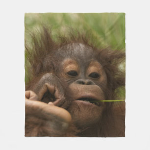 Orangutan Baby Fleece Blanket