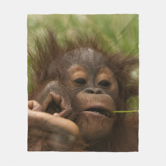 Orangutan Baby Fleece Blanket (Front)