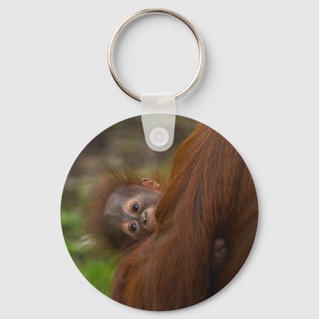 Orangutan Baby Having A Peek Key Ring (Front)