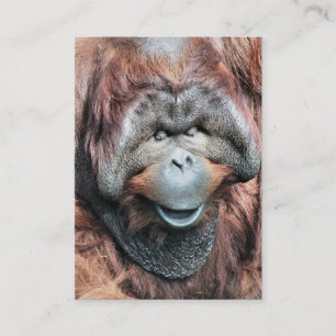 ORANGUTAN BUSINESS CARD