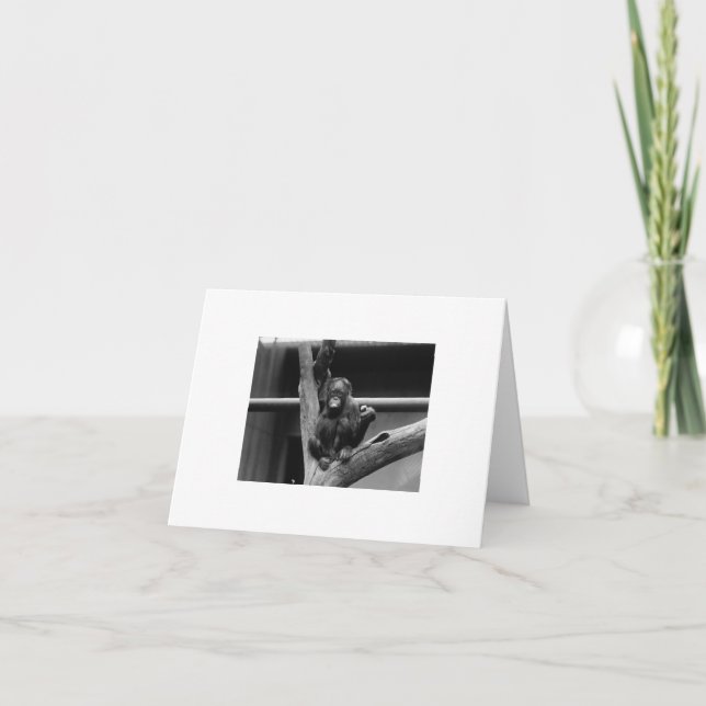 orangutan card (Front)