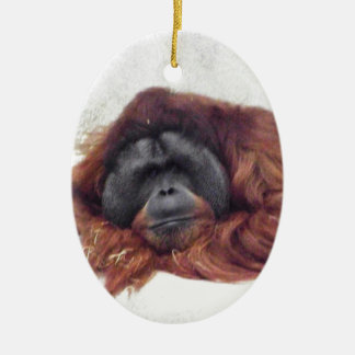 Orangutan Ceramic Ornament
