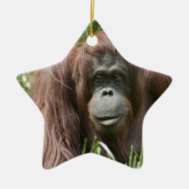 Orangutan Ceramic Tree Decoration (Front)