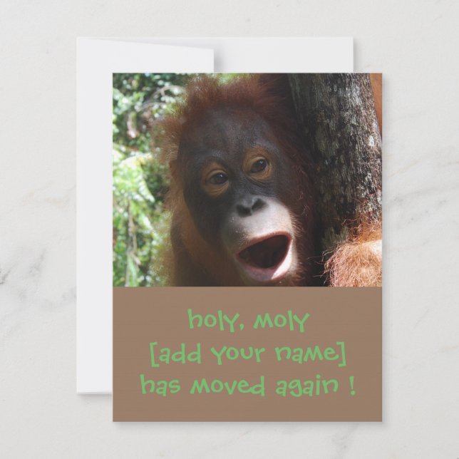 Orangutan Change of Address Announcement (Front)