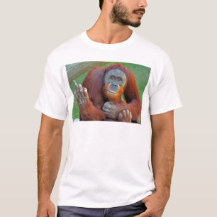 Orangutan Flipping The Bird T-Shirt