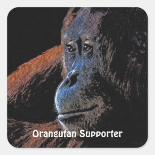 Orangutan Great Ape Primate Stickers