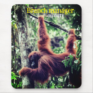 Orangutan hanging in tree mouse pad