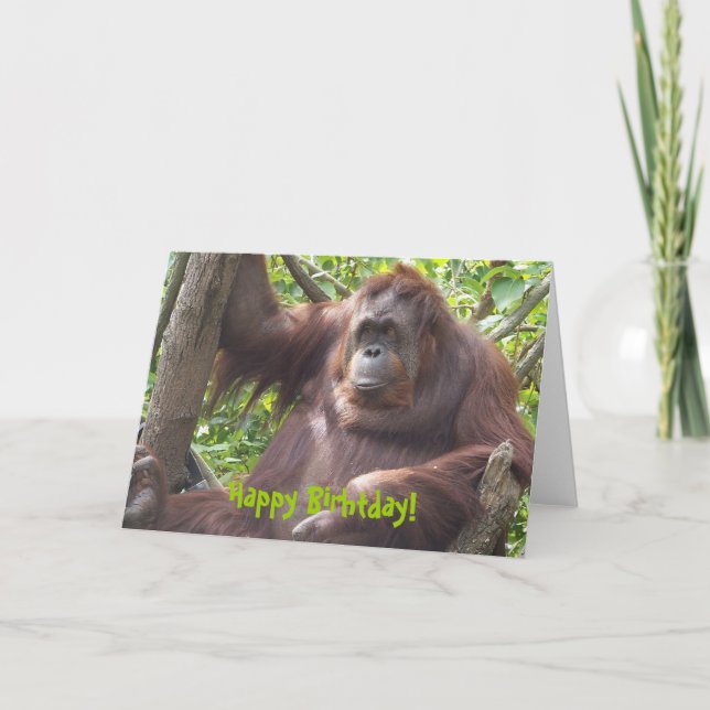 Orangutan Happy Birhtday! Card (Front)