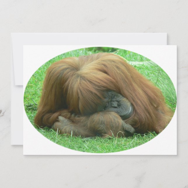 Orangutan Invitation (Front)