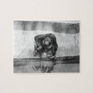 Orangutan Jigsaw Puzzle