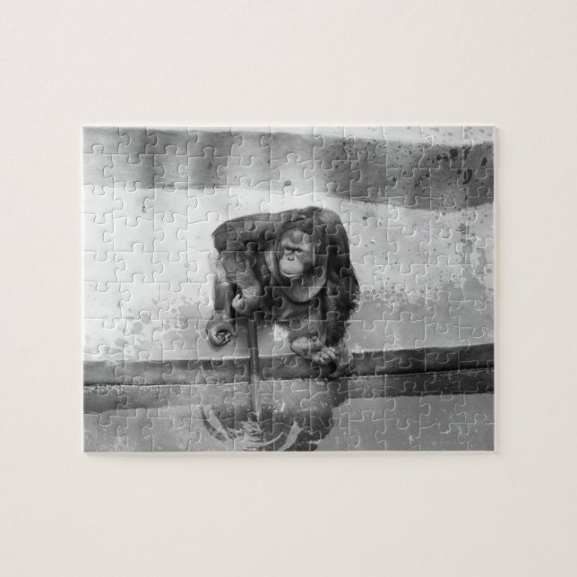 Orangutan Jigsaw Puzzle (Horizontal)