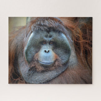 Orangutan Jigsaw Puzzle