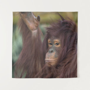 Orangutan Kayan Tapestry