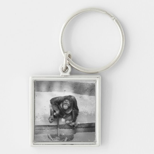 Orangutan Key Ring (Front)