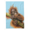 Orangutan Kitchen Towel 16" x 24"