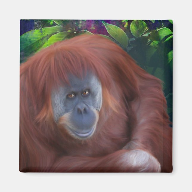 Orangutan Magnet (Front)