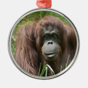 Orangutan Metal Tree Decoration