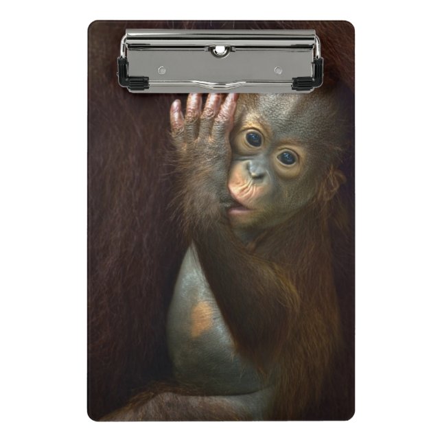 Orangutan Mini Clipboard (Front)