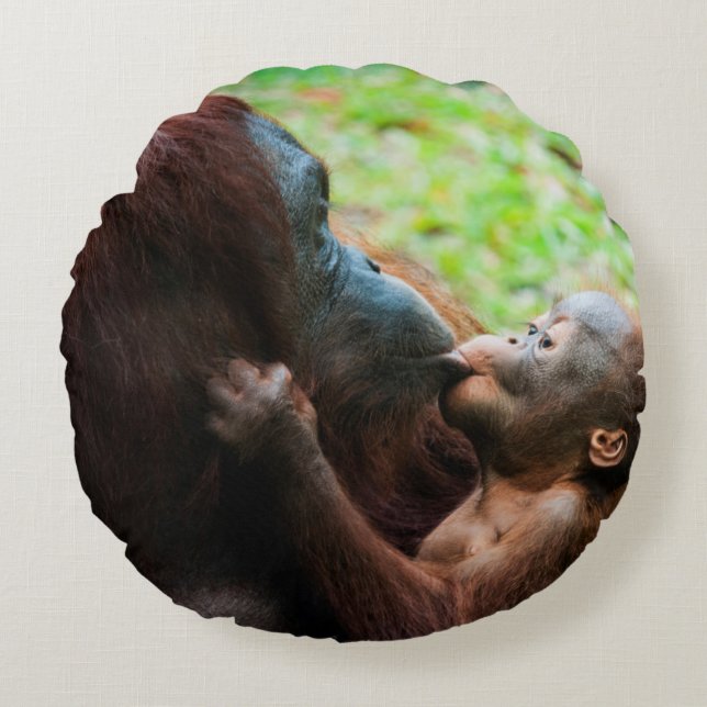 Orangutan mother and baby round cushion (Front)