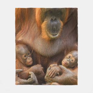 Orangutan Mother Holding Two Babies Fleece Blanket