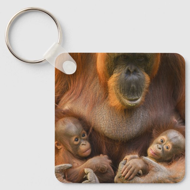 Orangutan Mother Holding Two Babies Key Ring (Front)