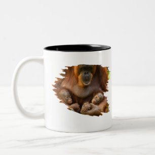 Orangutan Mother Holding Two Babies Two-Tone Coffee Mug
