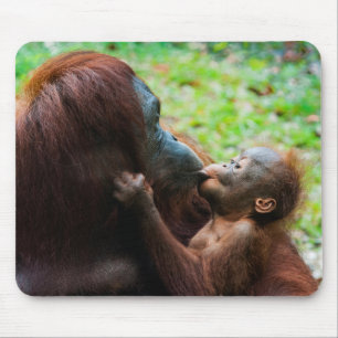 Orangutan Mother with Baby Mouse Pad