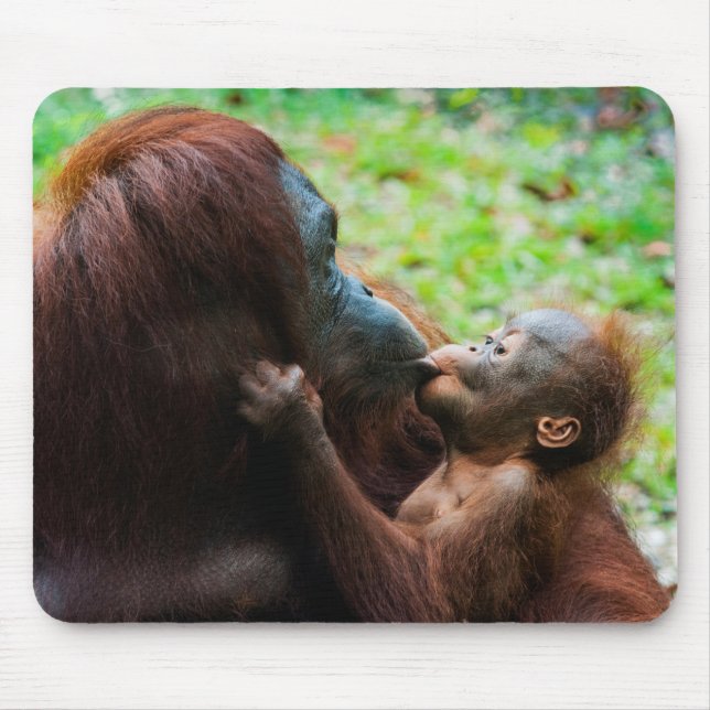 Orangutan Mother with Baby Mouse Pad (Front)