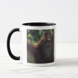 Orangutan Mother with Baby Mug