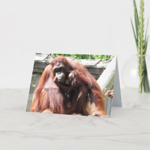 Orangutan Mother's Day Card