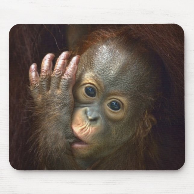 Orangutan Mouse Pad (Front)