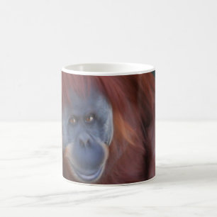 Orangutan Mug