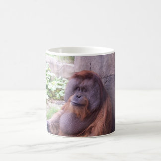 Orangutan Mug