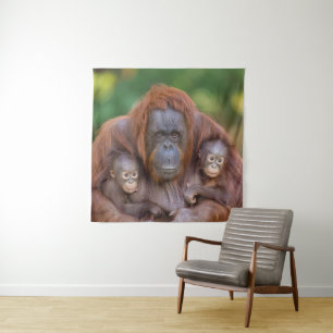 Orangutan Mum Watching Over Two Babies Tapestry