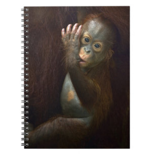 Orangutan Notebook