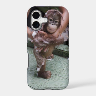 Orangutan Orphan Jacket OFI