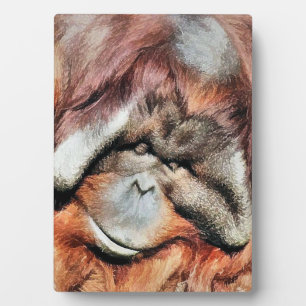 ORANGUTAN PLAQUE