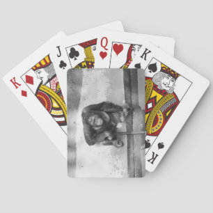Orangutan Playing Cards