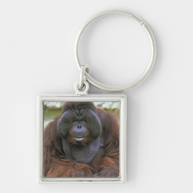 Orangutan Pongo Pygmaeus Key Ring (Front)