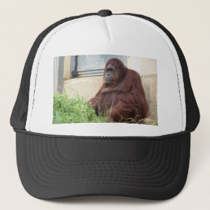 Orangutan Portrait Trucker Hat