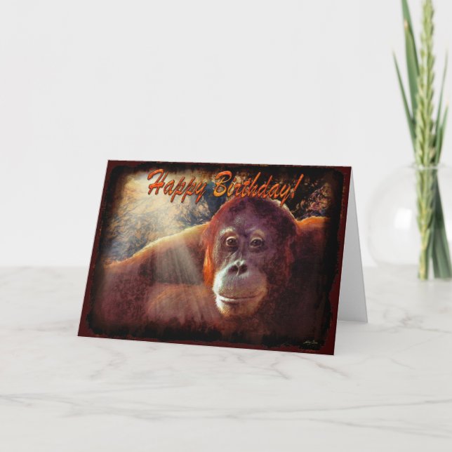 Orangutan & Rainforest Sunlight Birthday Card (Front)