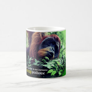 Orangutan relaxing in tree coffee mug