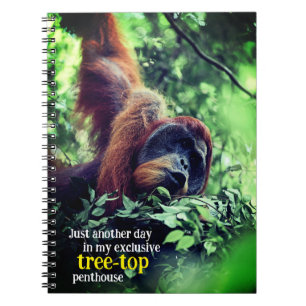 Orangutan relaxing in tree notebook